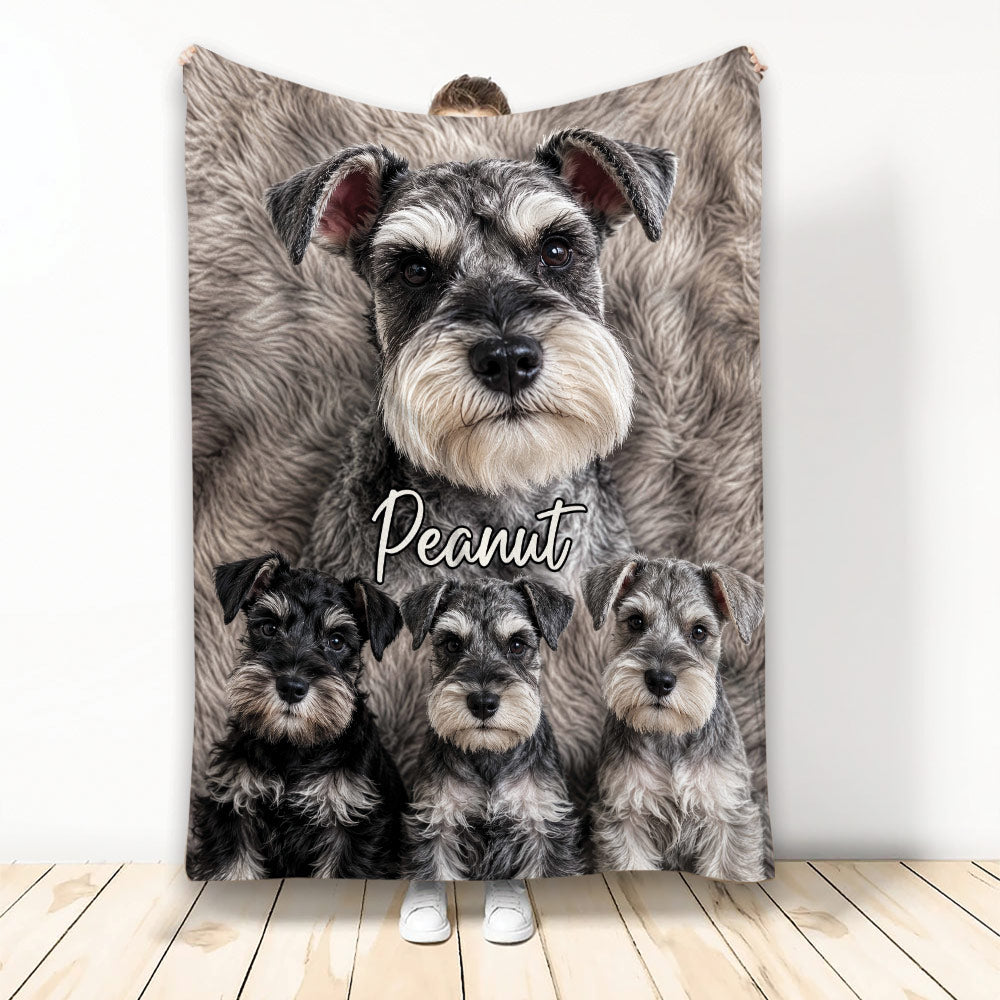 Miniature Schnauzer blanket design featuring four expressive gray and black dogs in a cozy portrait collage