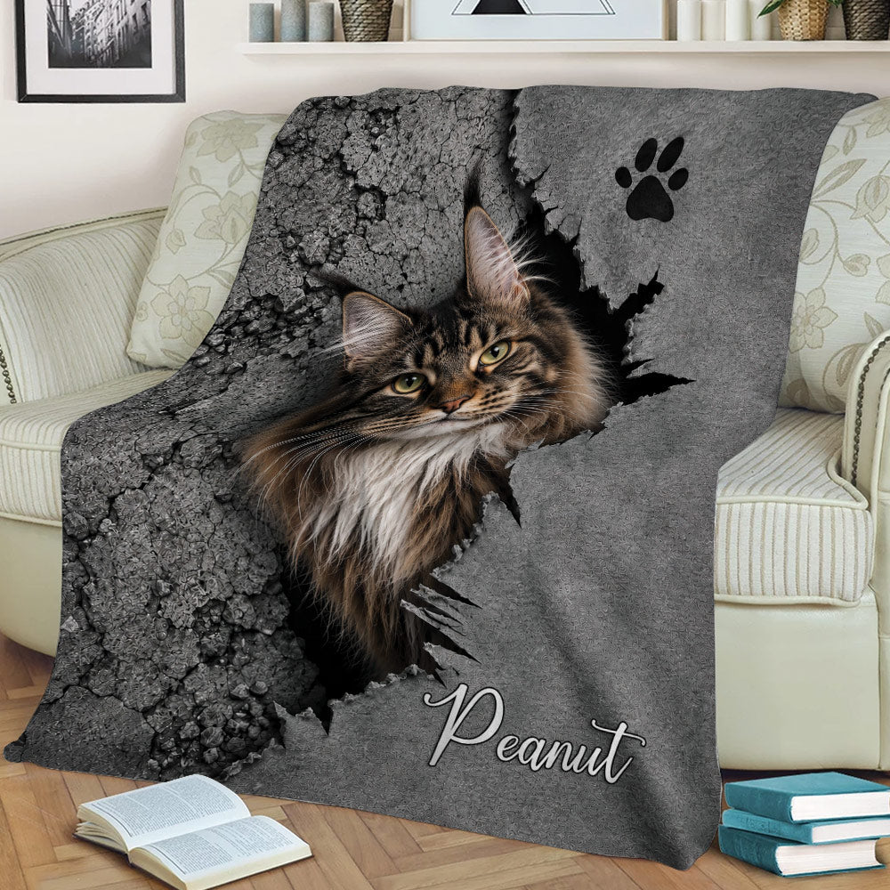 Long-haired Maine Coon cat throw blanket styled across a living room sofa