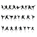 Karate style selection guide showing 25 martial arts silhouettes in varied fighting poses