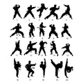 Taekwondo artwork selection guide showing twenty martial artist silhouette styles and kicking poses