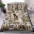 American Bulldog quilt bedding styled in a bright bedroom with bulldog portraits and paw print artwork