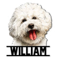 Custom Bichon Frise metal sign featuring a cheerful fluffy white dog portrait with its tongue out