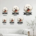 Bichon Frise metal sign size guide showing multiple square size options in a living room setting
