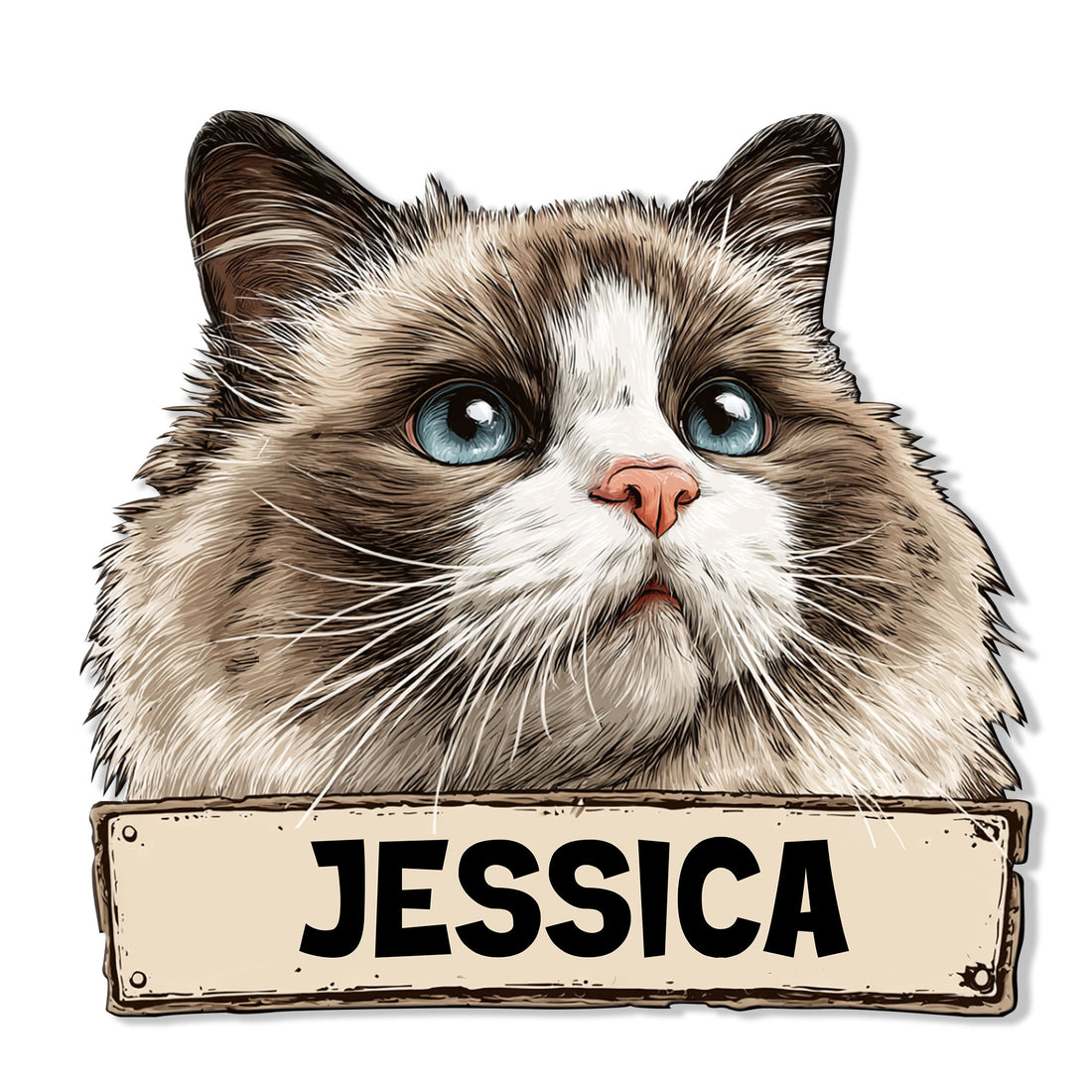 Close-up Ragdoll cat metal sign featuring a fluffy blue-eyed portrait and vintage-style plaque design