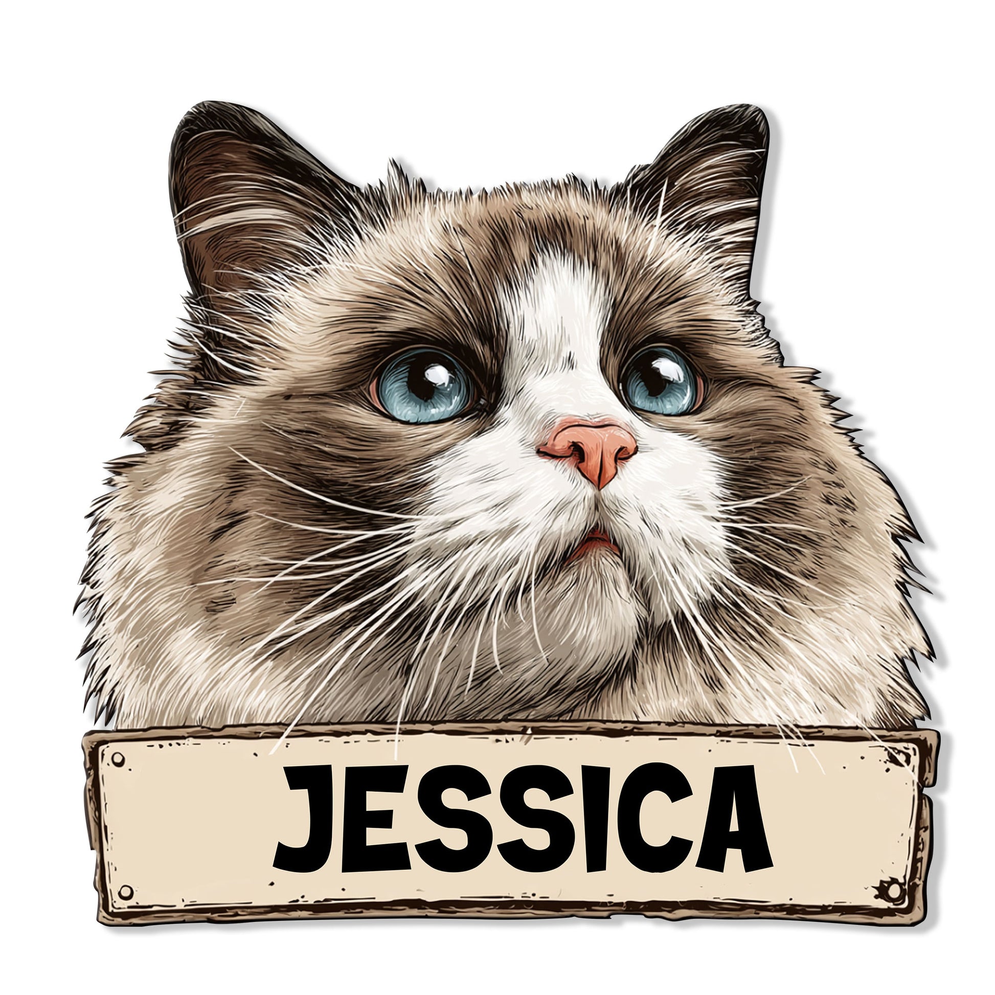 Close-up Ragdoll cat metal sign featuring a fluffy blue-eyed portrait and vintage-style plaque design