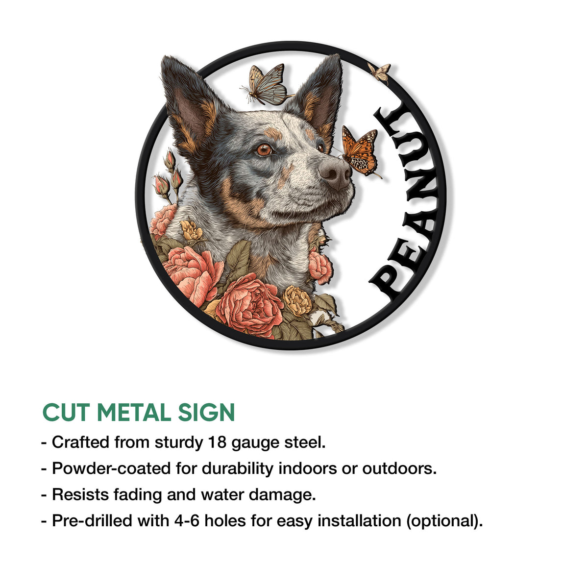Australian Cattle Dog cut metal sign feature infographic showing indoor and outdoor use details