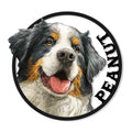 Bernese Mountain Dog metal sign featuring a detailed tri-color dog portrait in a bold circular frame