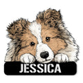 Custom Sheltie metal sign featuring a fluffy sable-and-white dog portrait above a bold black plaque