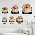 Pomeranian metal sign size guide showing six available square dimensions