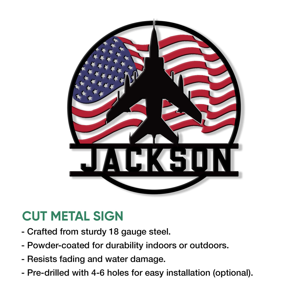 Aviation metal sign product feature graphic showing the airplane and patriotic flag artwork