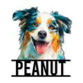 Colorful Australian Shepherd portrait metal sign with a joyful expression and bold black framing