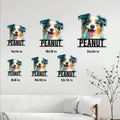 Australian Shepherd metal sign size guide showing six square size options from 8x8 to 24x24 inches