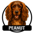 Close-up of a Boykin Spaniel portrait on a round custom metal sign with a bold black nameplate