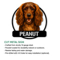 Boykin Spaniel cut metal sign featuring a detailed brown dog portrait and circular outline