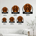 Boykin Spaniel metal sign shown in multiple size options from 8 by 8 to 24 by 24 inches