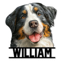 Custom Bernese Mountain Dog metal sign featuring a cheerful close-up portrait with bold black framing