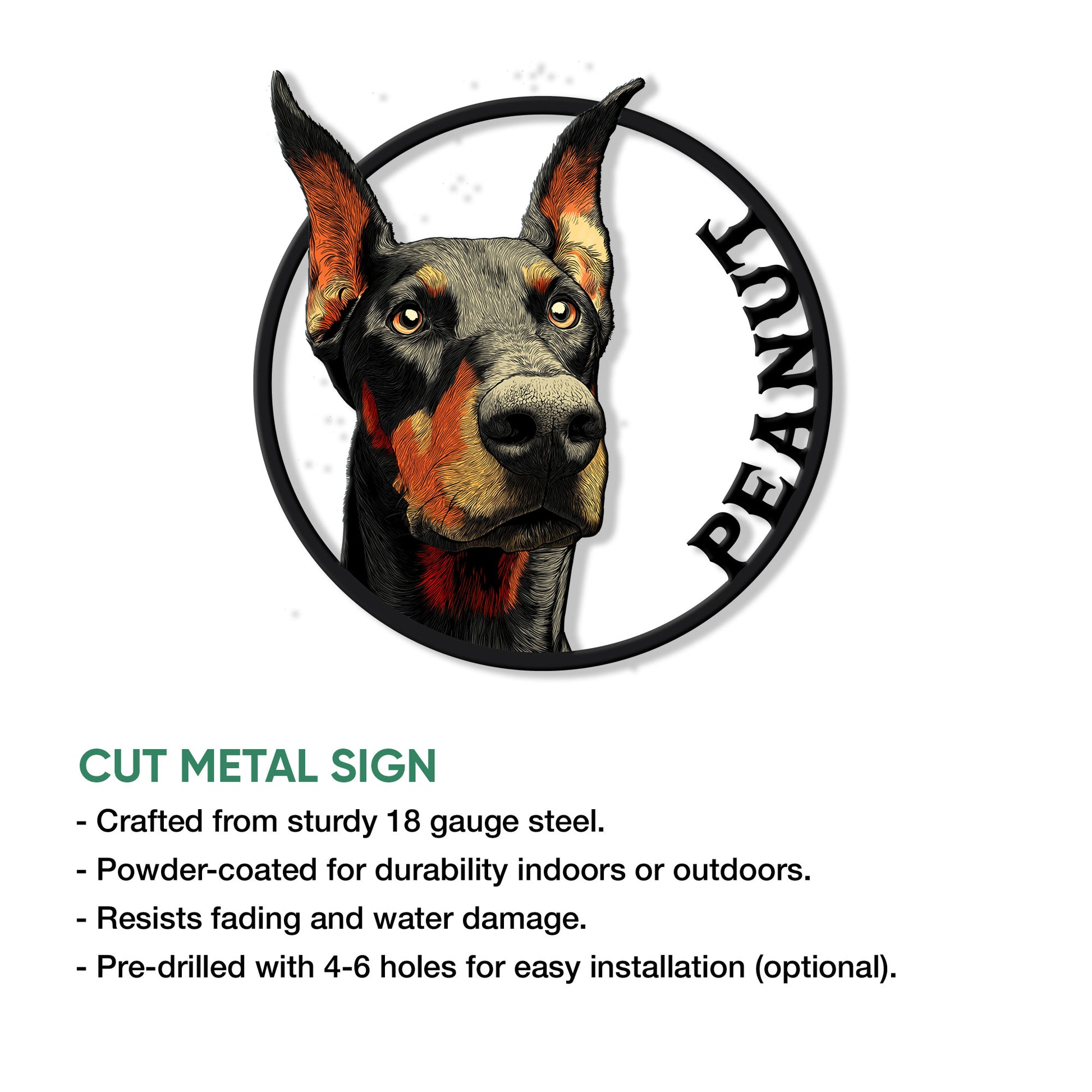 Doberman metal sign product infographic showing the portrait design and cut metal sign presentation