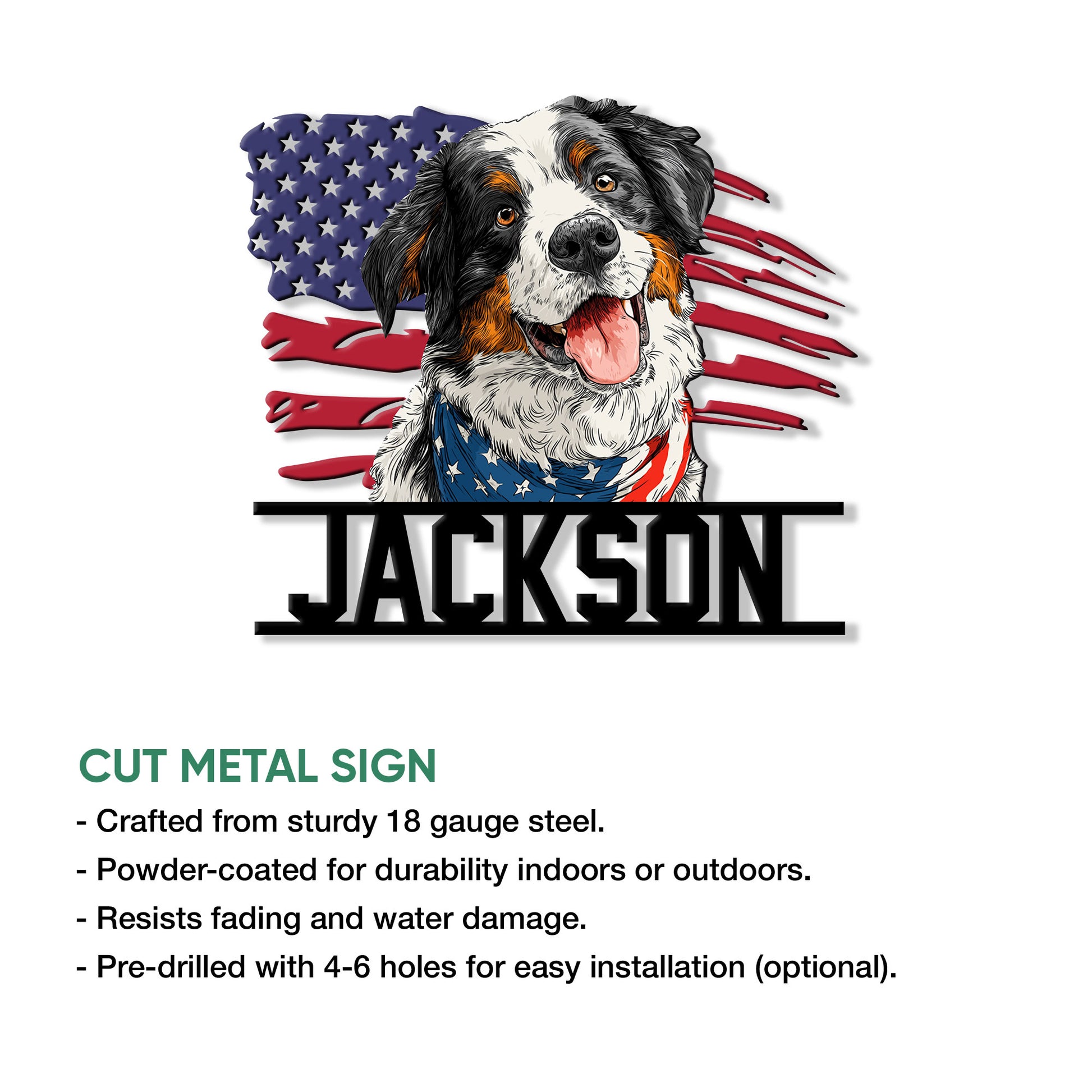 Bernese Mountain Dog cut metal sign infographic showing steel construction, coating, and mounting options