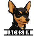 Custom Miniature Pinscher metal sign featuring a cheerful black and tan dog portrait with upright ears