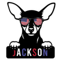 Miniature Pinscher metal sign featuring a bold black dog wearing American flag sunglasses