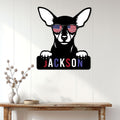 Patriotic Miniature Pinscher metal sign displayed as wall decor in a bright home entryway