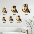 Australian Shepherd metal sign size guide showing six available square sizes in a living room setting
