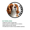 Close-up Cavalier King Charles Spaniel metal sign with illustrated chestnut and white coat details