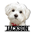 Custom Maltese dog metal sign featuring a detailed fluffy white dog portrait and bold decorative border