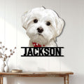 Maltese dog metal sign displayed as wall decor in a bright, modern home entryway