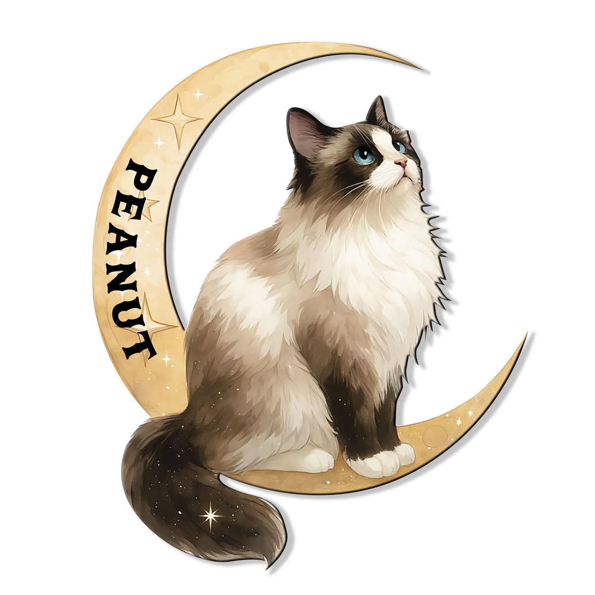 Ragdoll cat metal sign featuring a fluffy blue-eyed cat resting on a sparkling golden crescent moon