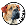 Colorful English Mastiff portrait metal sign with a bold circular border and vintage-style dog artwork