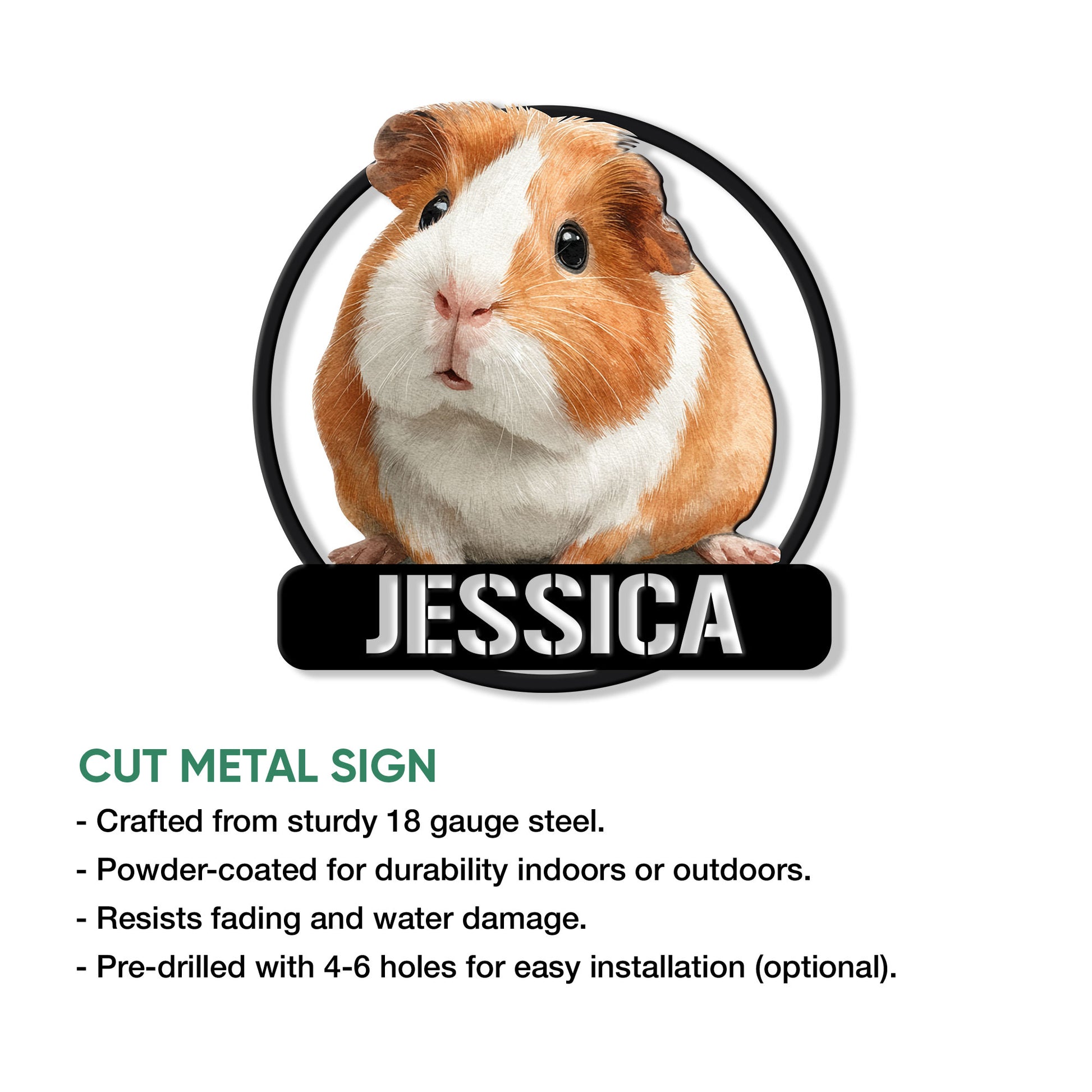 Guinea pig metal sign product graphic showing the circular portrait design and available sign features