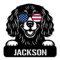 Boykin Spaniel metal sign featuring a cheerful dog portrait wearing American flag sunglasses