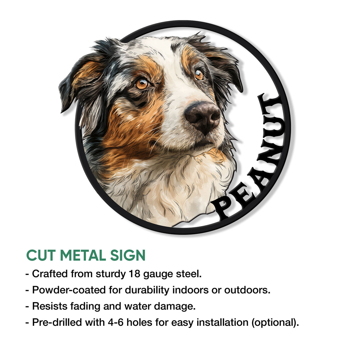 Australian Shepherd portrait cut metal sign shown with indoor and outdoor display features