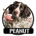 English Springer Spaniel metal sign with a detailed portrait framed by pink and white flowers