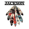 Native American feather metal sign with colorful patterned feathers and a bold black top bar