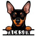 Custom Miniature Pinscher metal sign featuring a bold black and rust-colored dog portrait