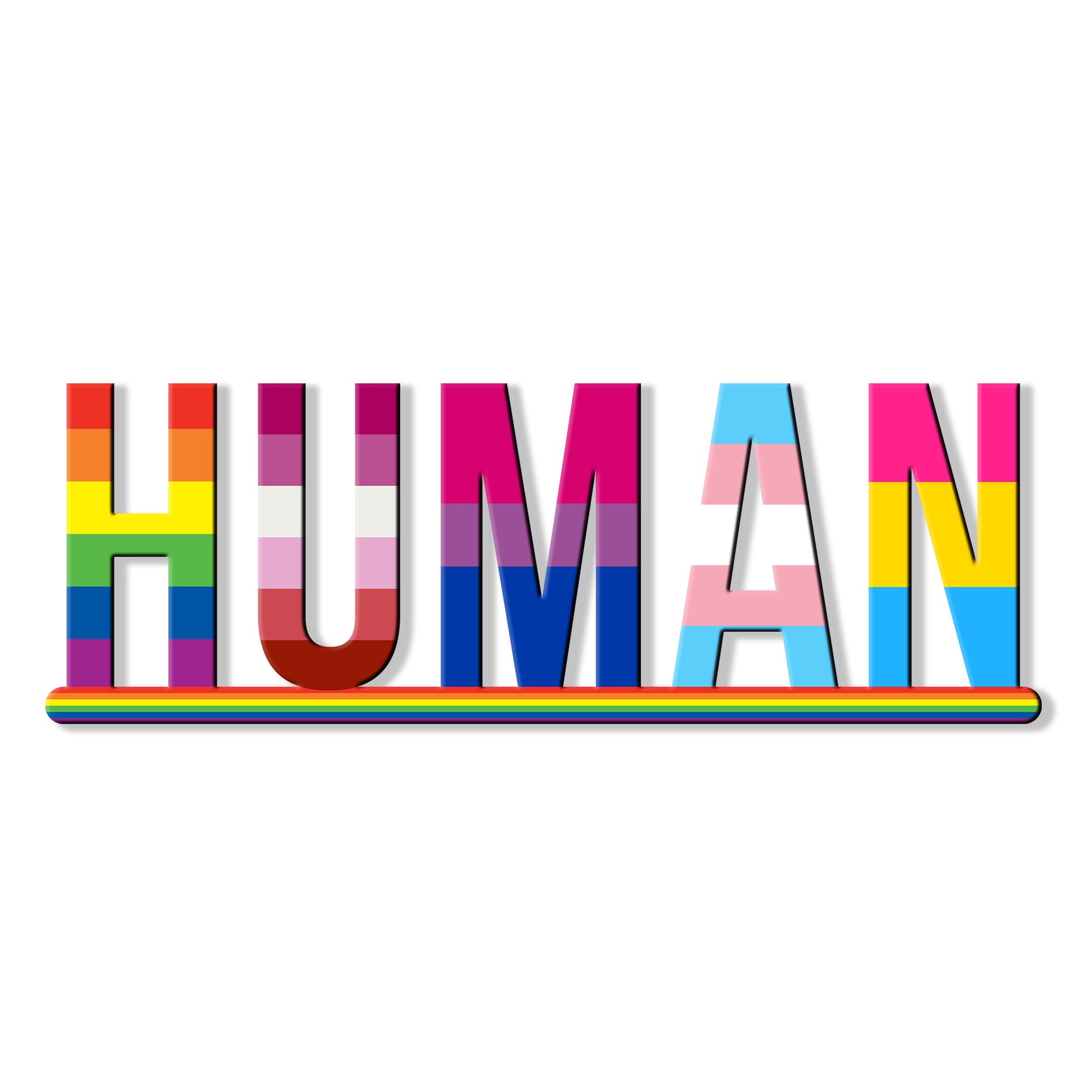Colorful LGBTQ pride metal sign featuring the word HUMAN in multiple pride flag designs
