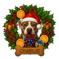 Pitbull Christmas metal sign featuring a Santa-hat dog surrounded by holly, pinecones, gifts, oranges, and a bone design