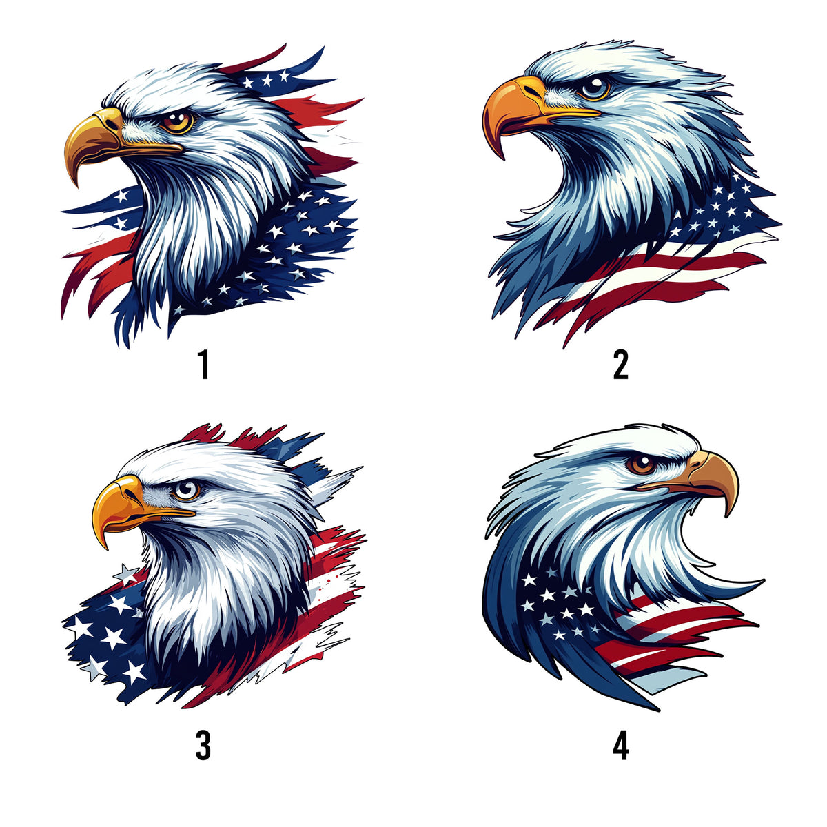 Style selection guide displaying four patriotic eagle artwork options for a custom metal sign