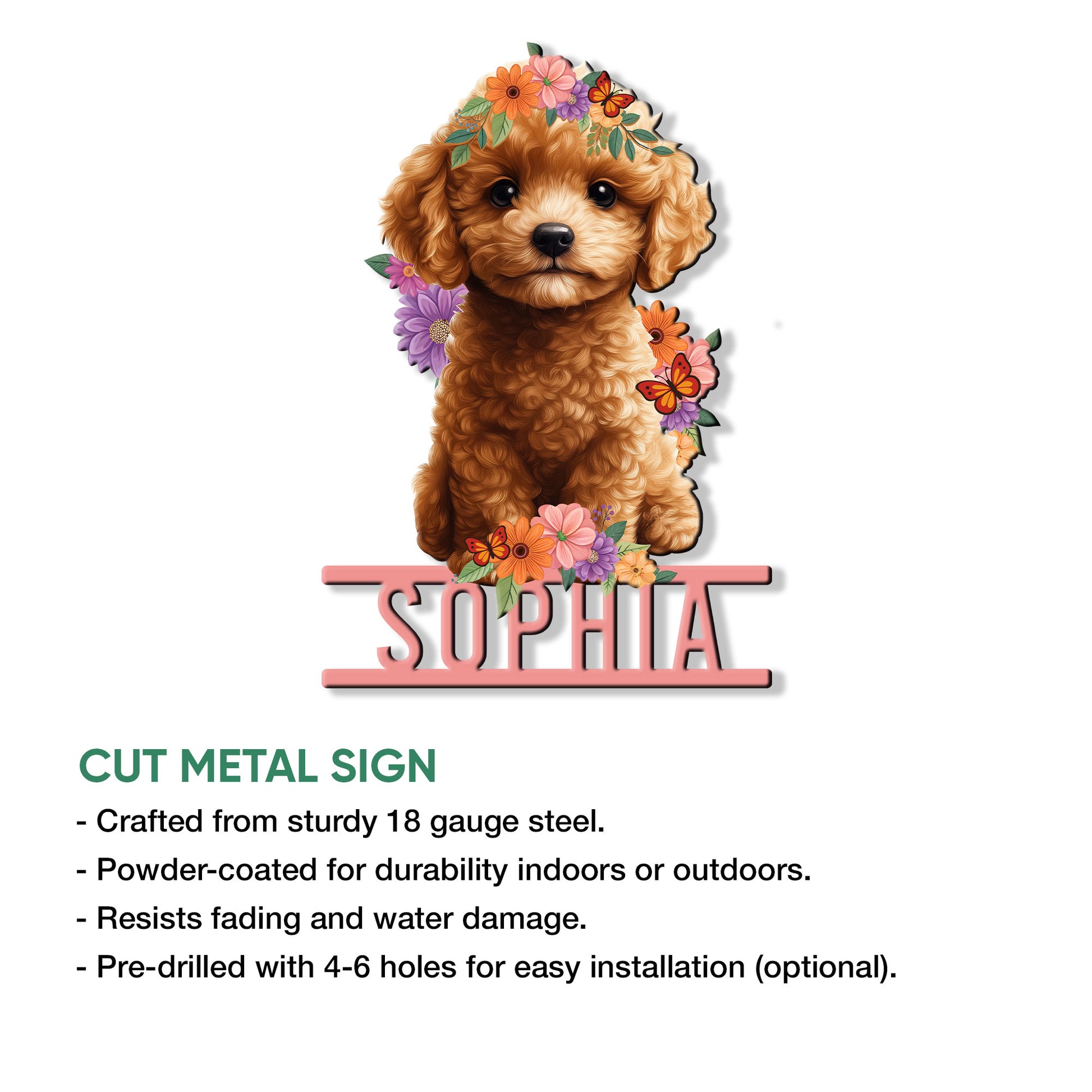 Poodle puppy cut metal sign shown in a product features infographic