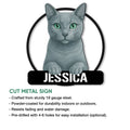 Russian Blue cat metal sign feature graphic showing the framed feline portrait and cut metal sign design