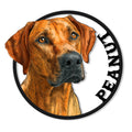 Rhodesian Ridgeback metal sign with a detailed warm-toned dog portrait in a bold circular frame
