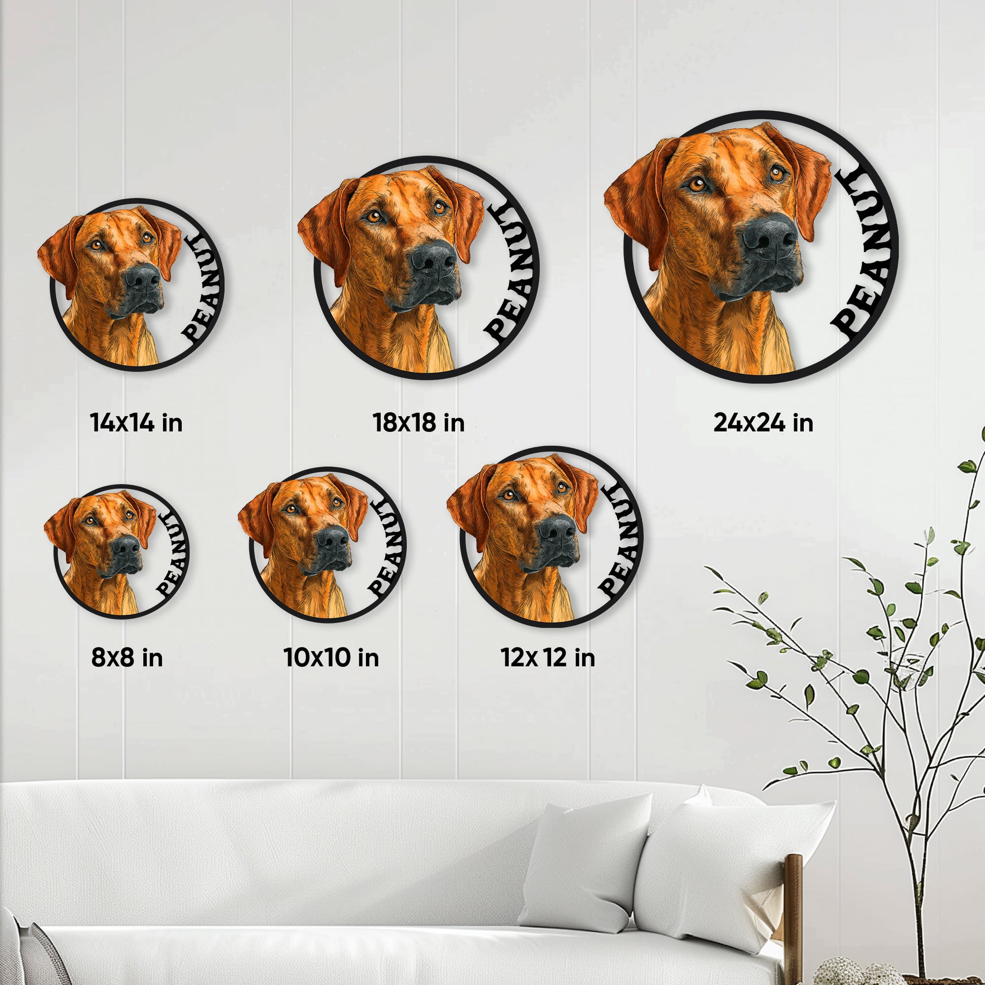Rhodesian Ridgeback metal sign size guide showing six square size options from 8 to 24 inches