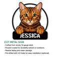 Bengal cat metal sign product graphic showing the illustrated tabby design and cut metal sign features