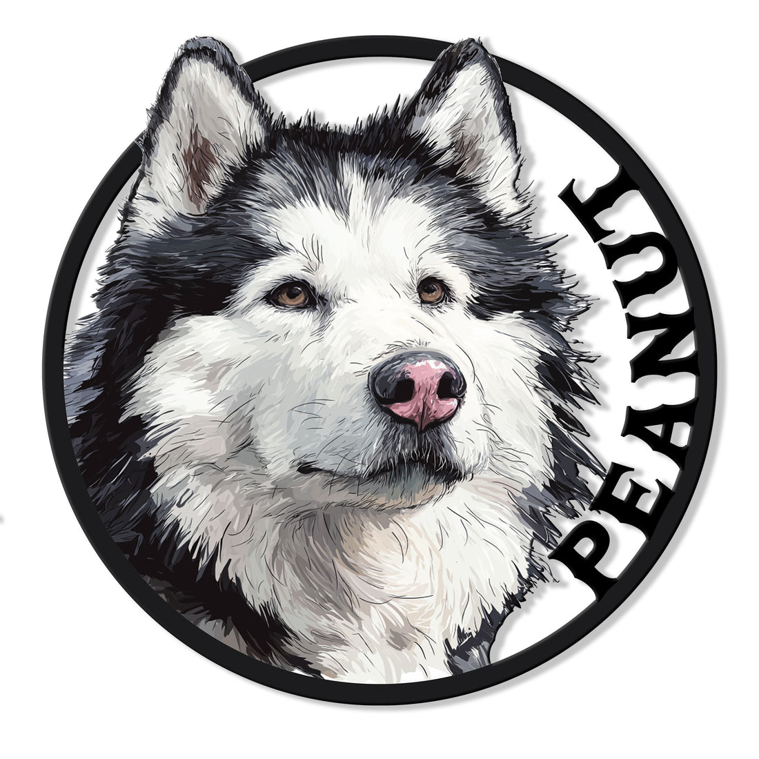 Close-up Alaskan Malamute portrait on a round black metal sign with a bold circular border