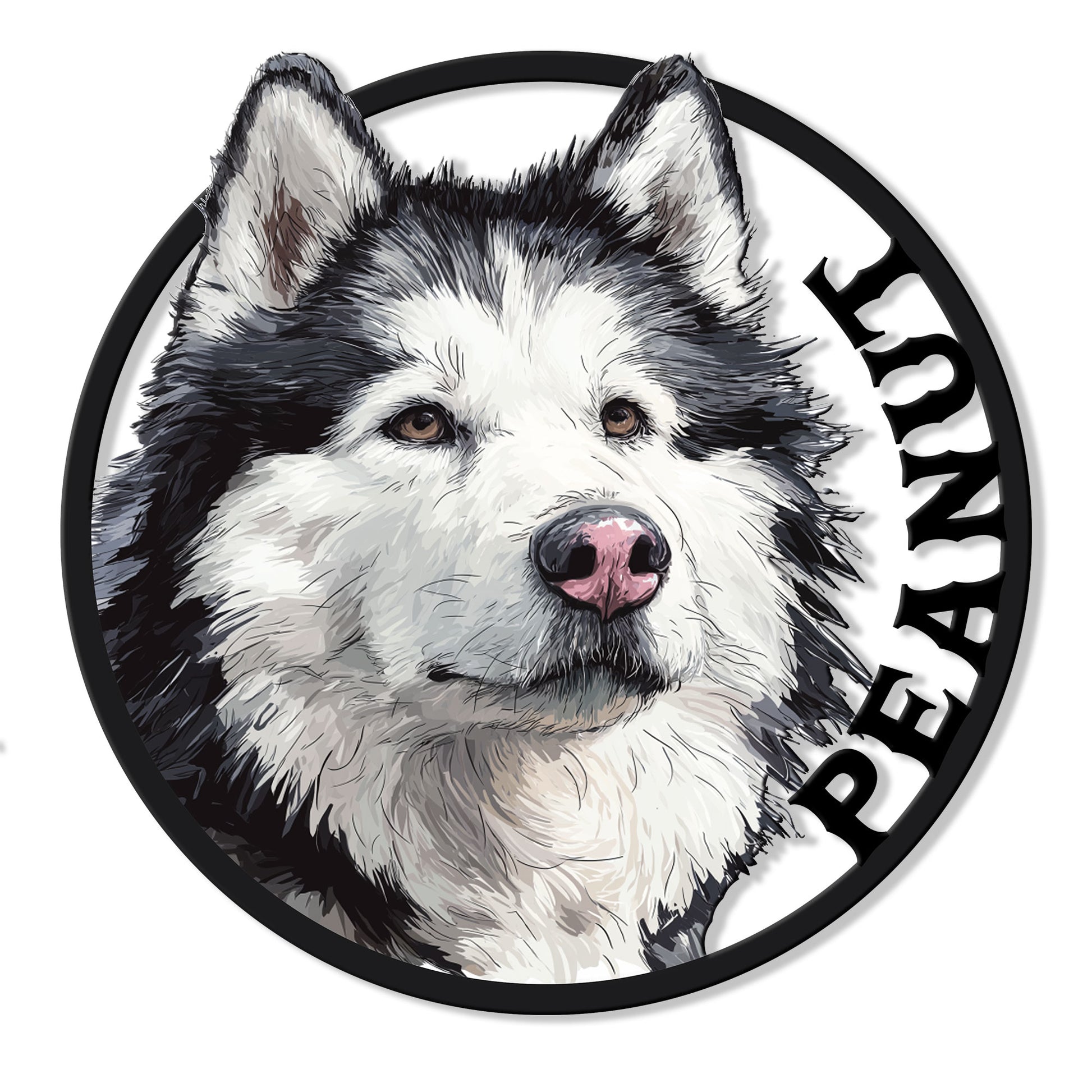 Close-up Alaskan Malamute portrait on a round black metal sign with a bold circular border