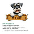 Cut metal Miniature Schnauzer sign shown with indoor and outdoor display features