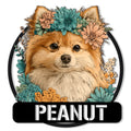 Floral Pomeranian portrait metal sign with a fluffy dog framed by colorful flowers