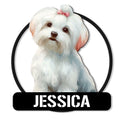 Custom Maltese dog metal sign featuring a fluffy white Maltese portrait in a circular frame